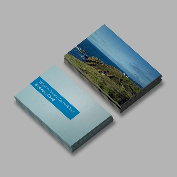  Business Cards Blue